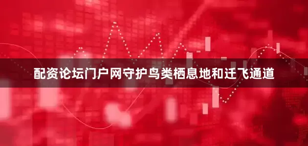 配资论坛门户网守护鸟类栖息地和迁飞通道
