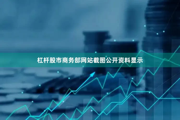 杠杆股市商务部网站截图公开资料显示