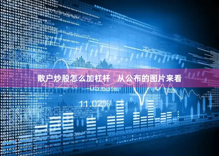 散户炒股怎么加杠杆   从公布的图片来看