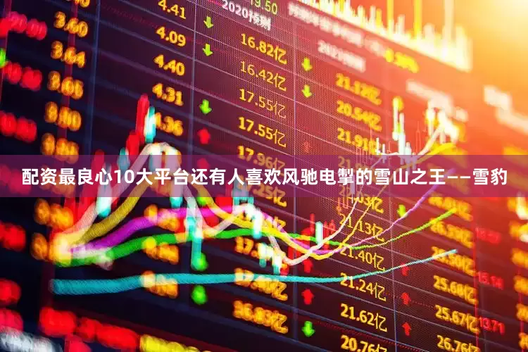配资最良心10大平台还有人喜欢风驰电掣的雪山之王——雪豹